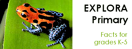 Explora Primary web banner