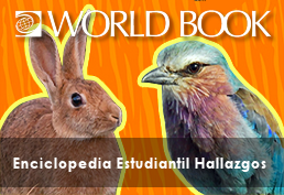 Worldbook Eciclopedia Estudiantil Hallazgos